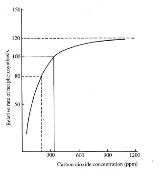 co2 net photo378