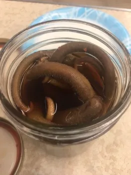 In the Jar!