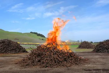 Biochar Vineyard Waste from Wines & Vines