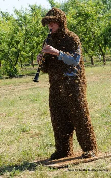 Norm Gary, clustered with bees and