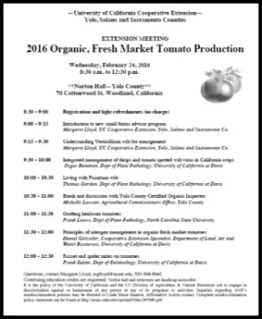 Tomato Meeting Big
