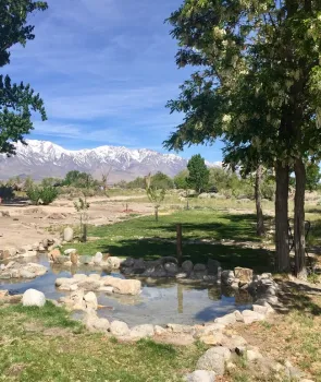 Arai Pond