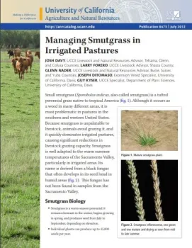 smutgrass pub