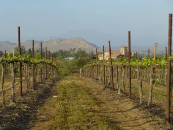 Temecula view