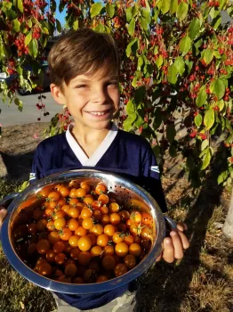 Super harvest