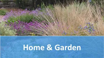 Soils - Homes