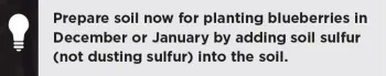 Helpful tips in Gardening Guide