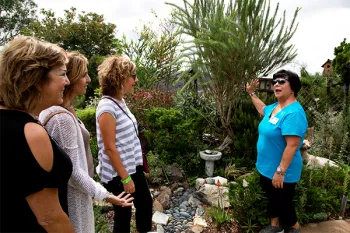 gardentour2