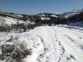 Snow