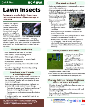 qtlawninsects copy