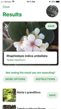rhap