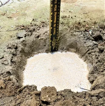 drainage test before planting a tree