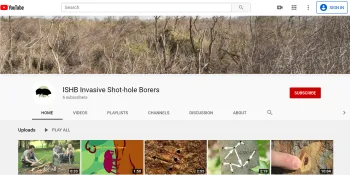 YouTube Thumbnail