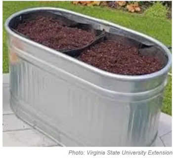 trough garden