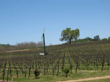 Using a wind machine in a vineyard.