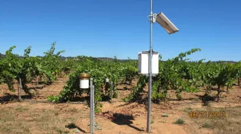 Amador Eagle Station