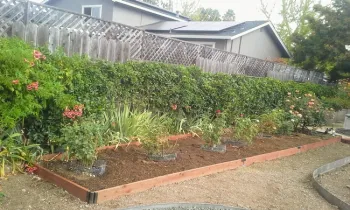 Rose garden completed