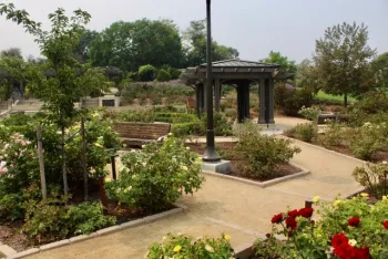 Rose Garden