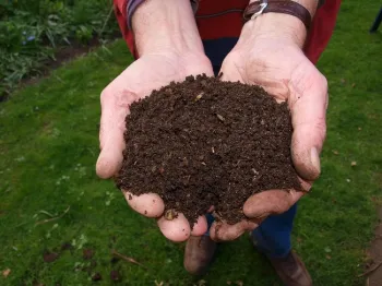 Handful of compost. (pixabay.com)