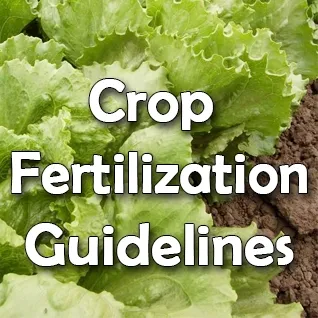 Crop Guidelines