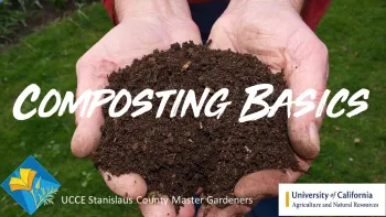 Composting Basics thumbnail Youtube