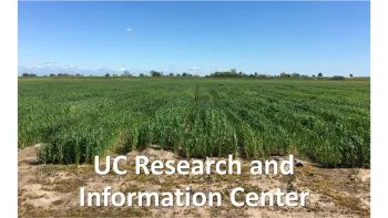 UC RIC