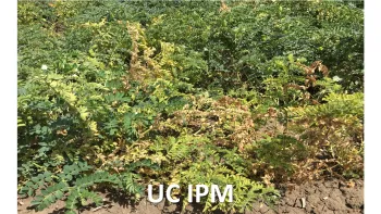 UC IPM