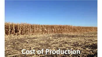 Cost of Production