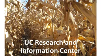 Corn RIC