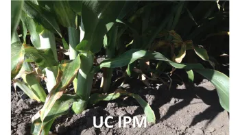 UC IPM