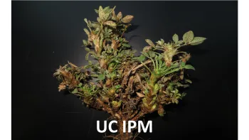 UC IPM