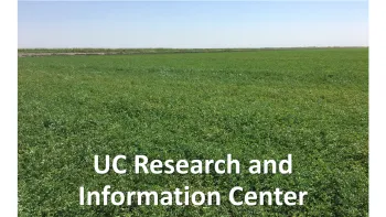 UC RIC