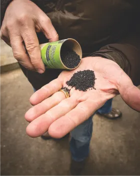 biochar