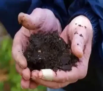 Safe soils