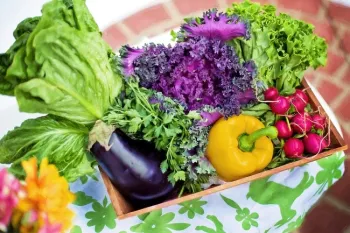 Basket full of vegetables including a yellow pepper, eggplant and kale.