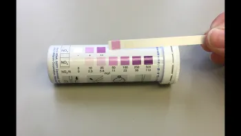 Nitrate strip reading of about 50ppm of NO3