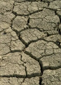 dry-soil