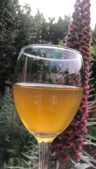 A glass of mead next to a tower of jewels, Echium wildpretii. When this plant blooms, it becomes a