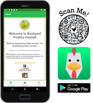 BYPC_PhoneQRLogo