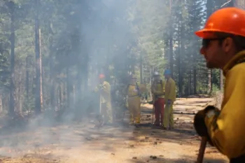 Wildfires