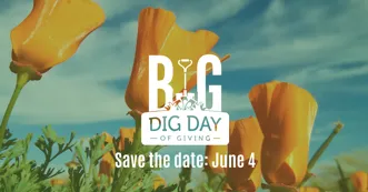 Big Day June 4