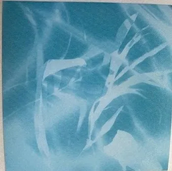 sunprint done2