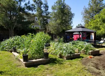 Barnett Garden
