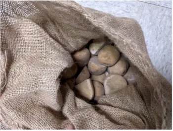 Potato3
