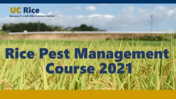 Rice Pest Course