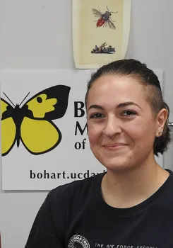 Bohart Museum student lab assistant Amberly Hackmann said of the cicadas: