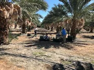 PS Harvest