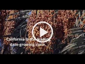 date video