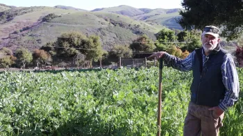 Farm Educator Jim Leap describes the termination process for the mixed cover crop