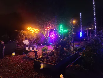nigh time glow